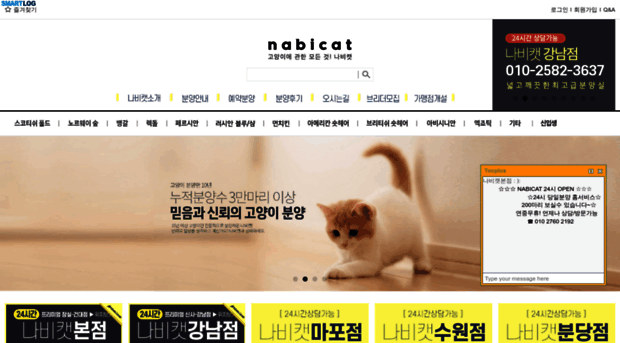 hollycat.co.kr