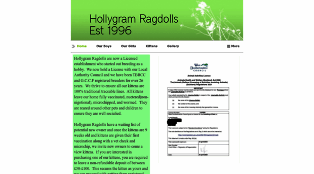 hollygramragdolls.com