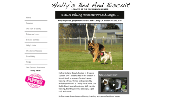 hollysbedandbiscuit.com