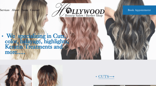 hollywoodbeautysalonllc.com