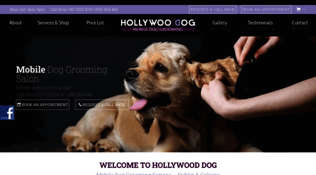 hollywooddog.ie