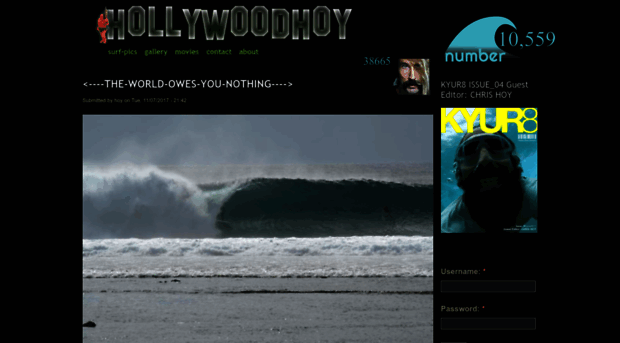 hollywoodhoy.net