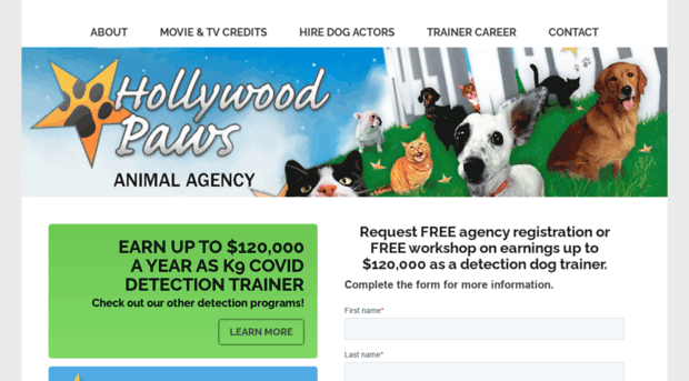 hollywoodpaws.com