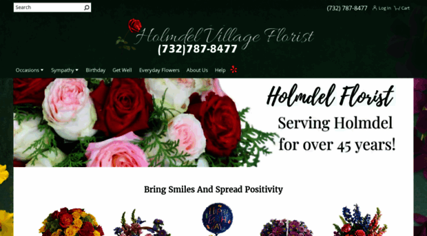 holmdelflorist.com