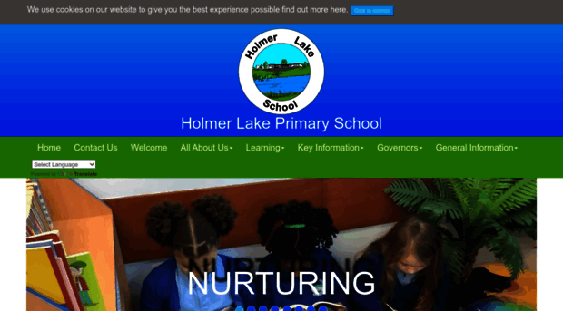 holmerlakeprimary.org