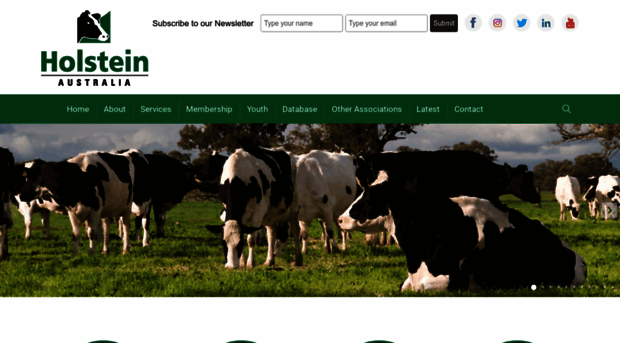 holstein.com.au