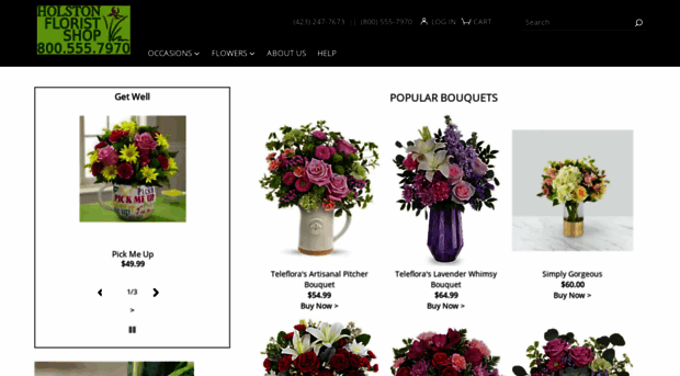 holstonflorist.com