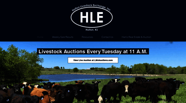 holtonlivestock.com