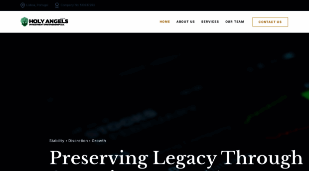 holyangelsinvestmentltd.com
