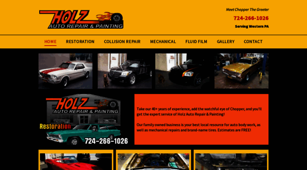 holzautorepair.com