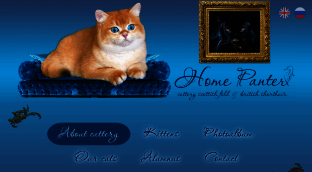 home-panter.ru