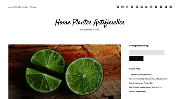 home-plantes-artificielles.com