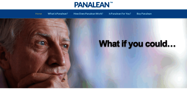home.panalean.com