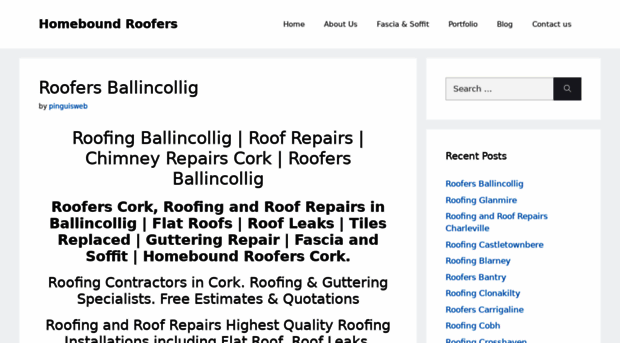 homeboundroofingandguttering.com