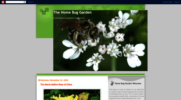 homebuggarden.blogspot.com