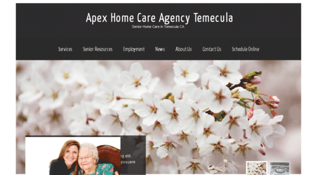 homecareagencytemecula.com