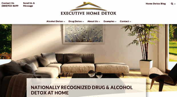 homedetox.com