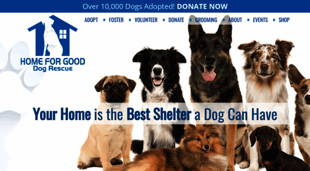 homeforgooddogs.org