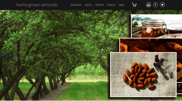 homegrownalmonds.com