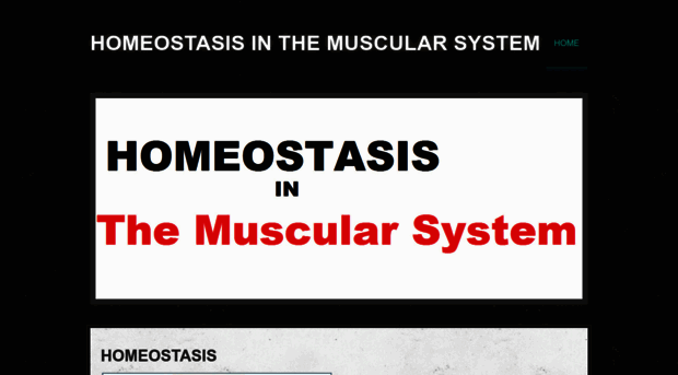 homeostasisinthemuscularsystem.weebly.com