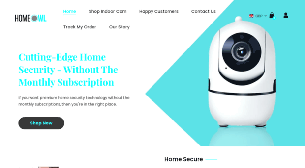 homeowlsecurity.com