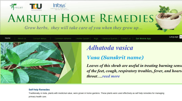 homeremedy.in