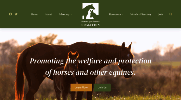 homesforhorses.org