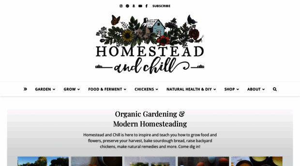 homesteadandchill.com