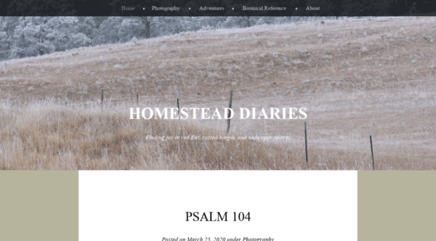 homesteaddiaries.wordpress.com