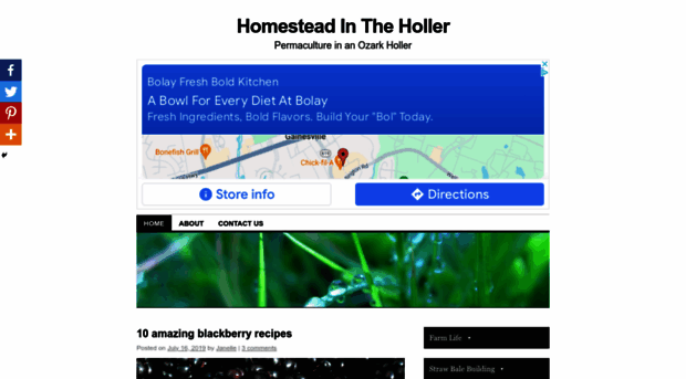 homesteadintheholler.com