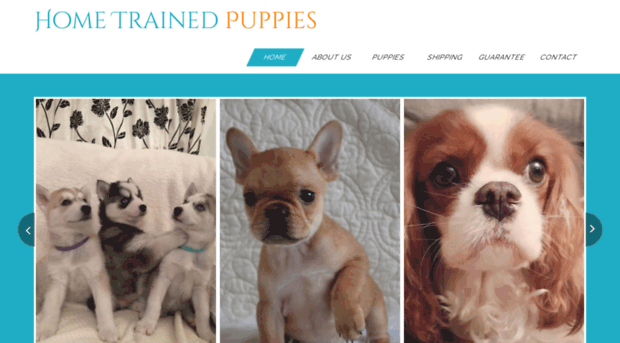 hometraindpuppies.com