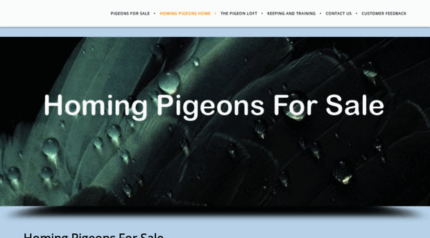 homingpigeonsforsale.com