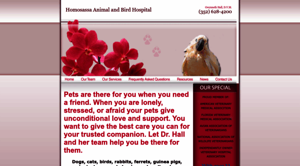 homosassaanimalandbirdhospital.com