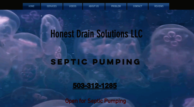 honestdrainsolutions.com