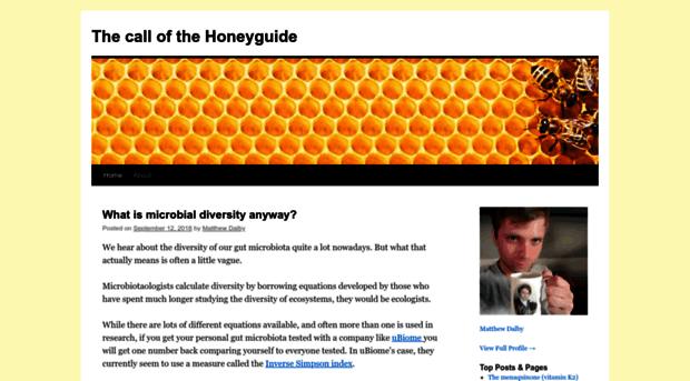 honey-guide.com