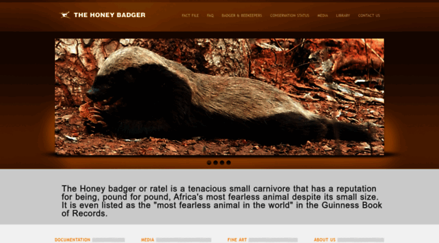 honeybadger.com