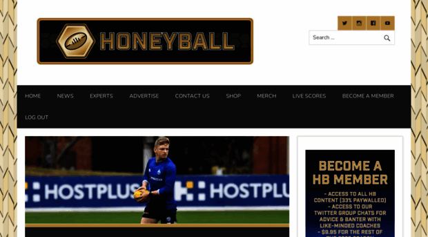 honeyball.com.au