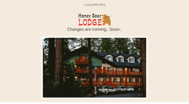 honeybearlodge.com