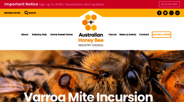 honeybee.org.au