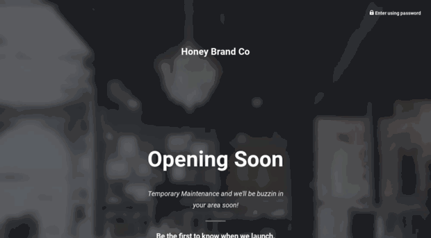 honeybrandco.myshopify.com