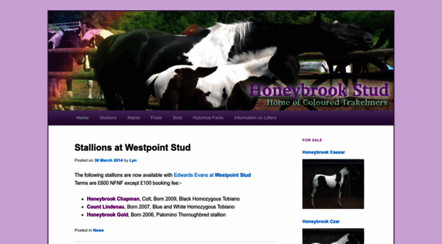 honeybrookstud.co.uk