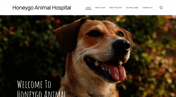 honeygoanimalhospital.com