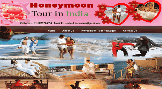 honeymoontourinindia.org
