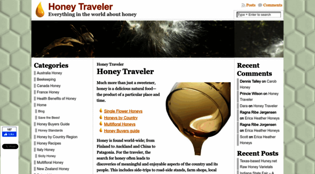 honeytraveler.com