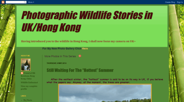 hongkongkwildlifephotos.blogspot.tw