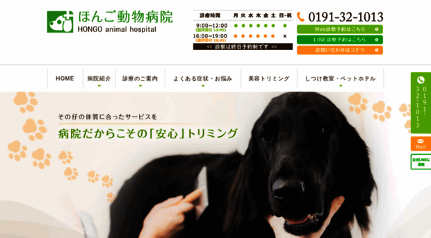 hongo-animal.com