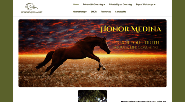 honormedina.com