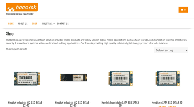 hoodisk-ssd.com