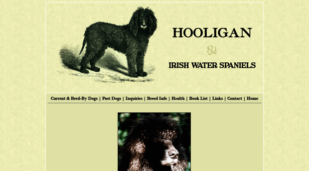 hooliganiws.com