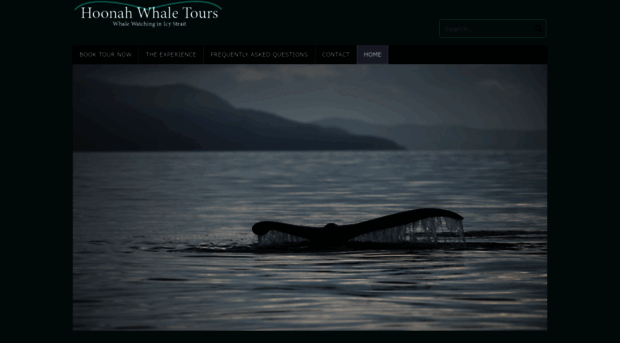 hoonahwhaletours.com